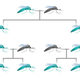 Illustration for article titled Should We Deliberately Edit The Genes Of Wild Animals?